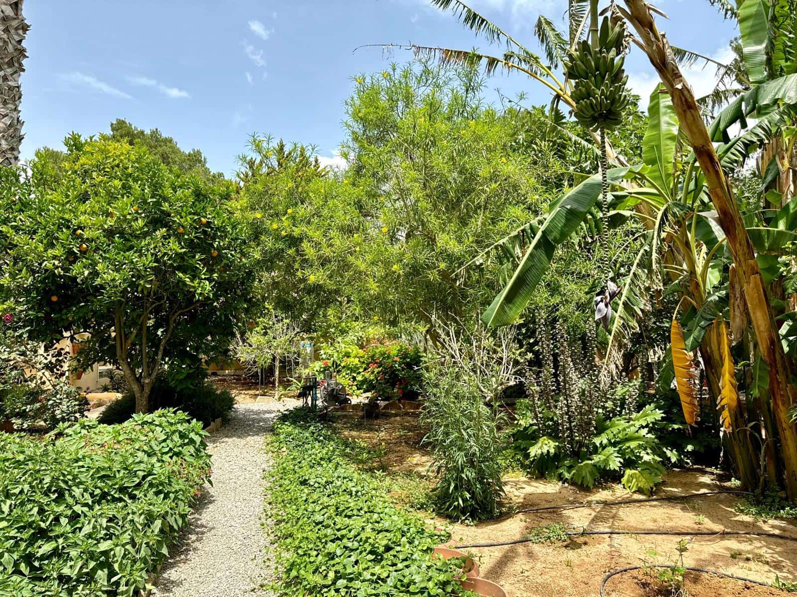 5 sypialnia Willa na sprzedaż w Es Figueral - 1 200 000 € (Ref: 8323870)