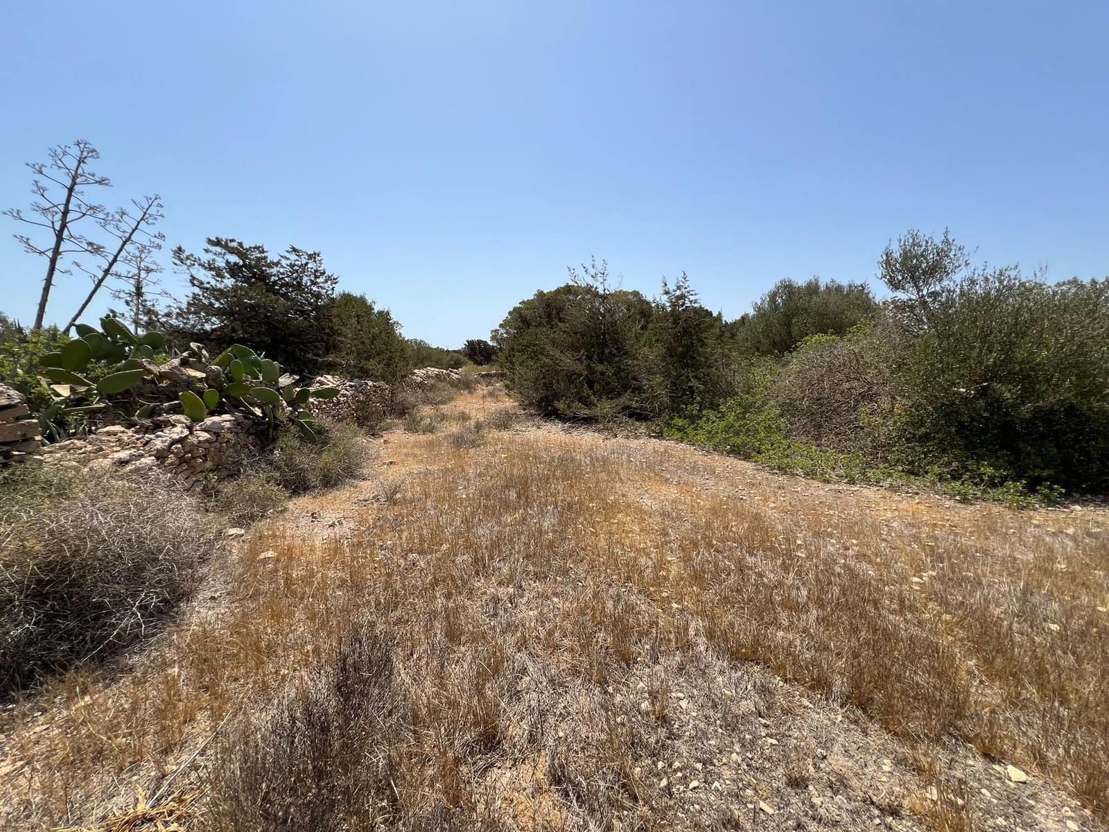 2 slaapkamer Huis te koop in Formentera gemeente - € 1.600.000 (Ref: 8465891)