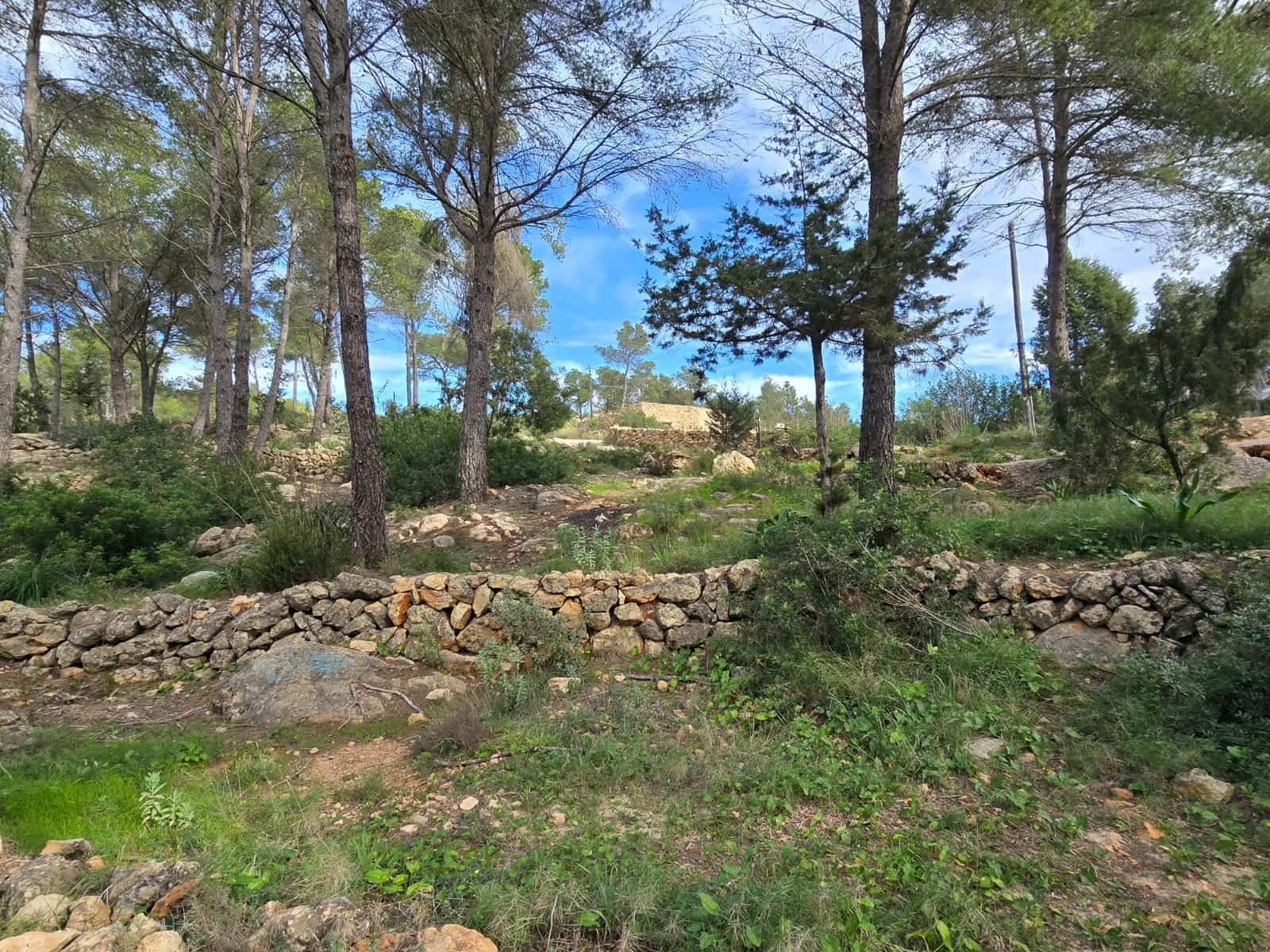 1 soverom Finca/Herregård til salgs i Sant Joan de Labritja - € 1 295 000 (Ref: 8774952)