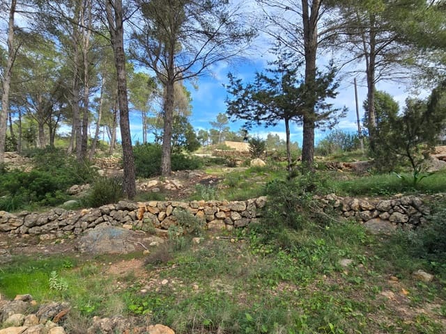 1 bedroom Finca/Country House for sale in Sant Joan de Labritja - € 1,295,000 (Ref: 8774952)