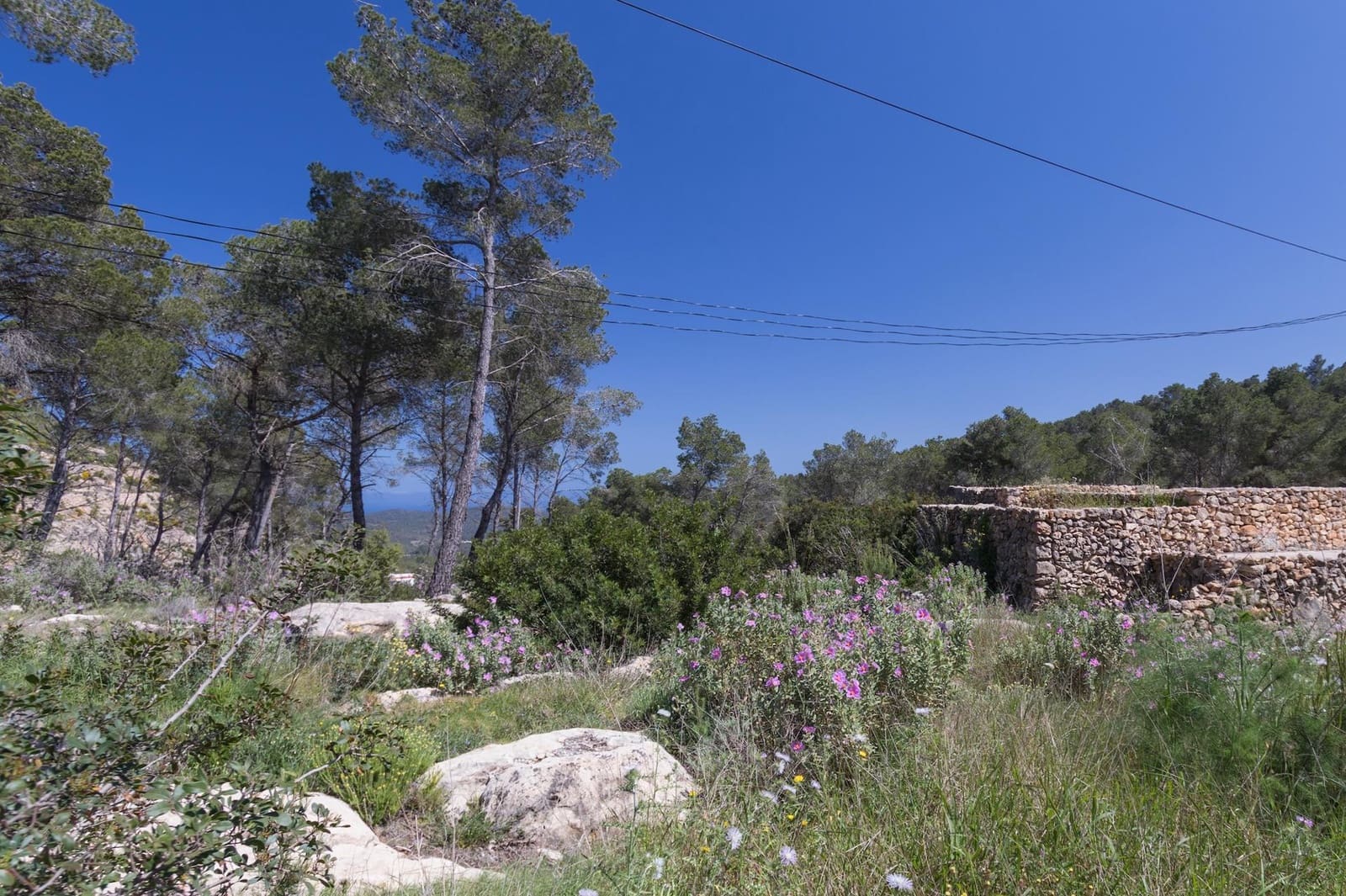 1 soverom Finca/Herregård til salgs i Sant Joan de Labritja - € 1 295 000 (Ref: 8774952)