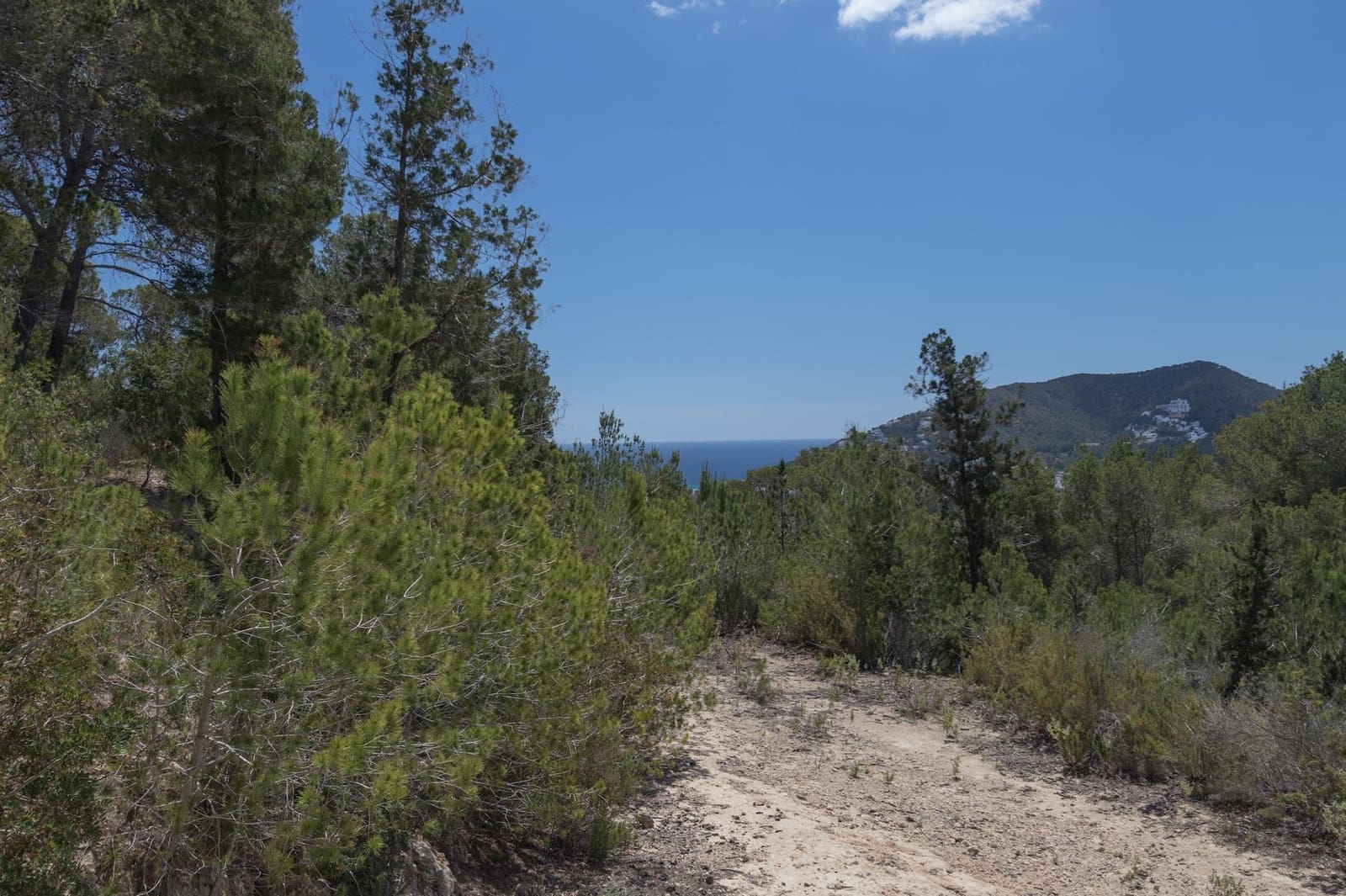 2 quarto Quinta/Casa Rural para venda em Santa Eulalia / Santa Eularia - 1 295 000 € (Ref: 8785846)