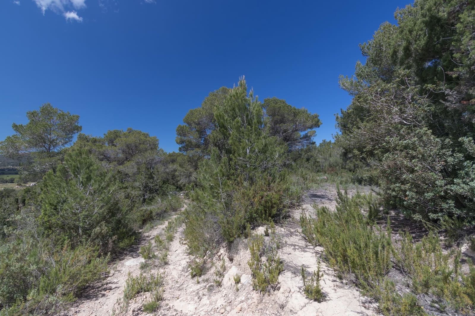 2 quarto Quinta/Casa Rural para venda em Santa Eulalia / Santa Eularia - 1 295 000 € (Ref: 8785846)