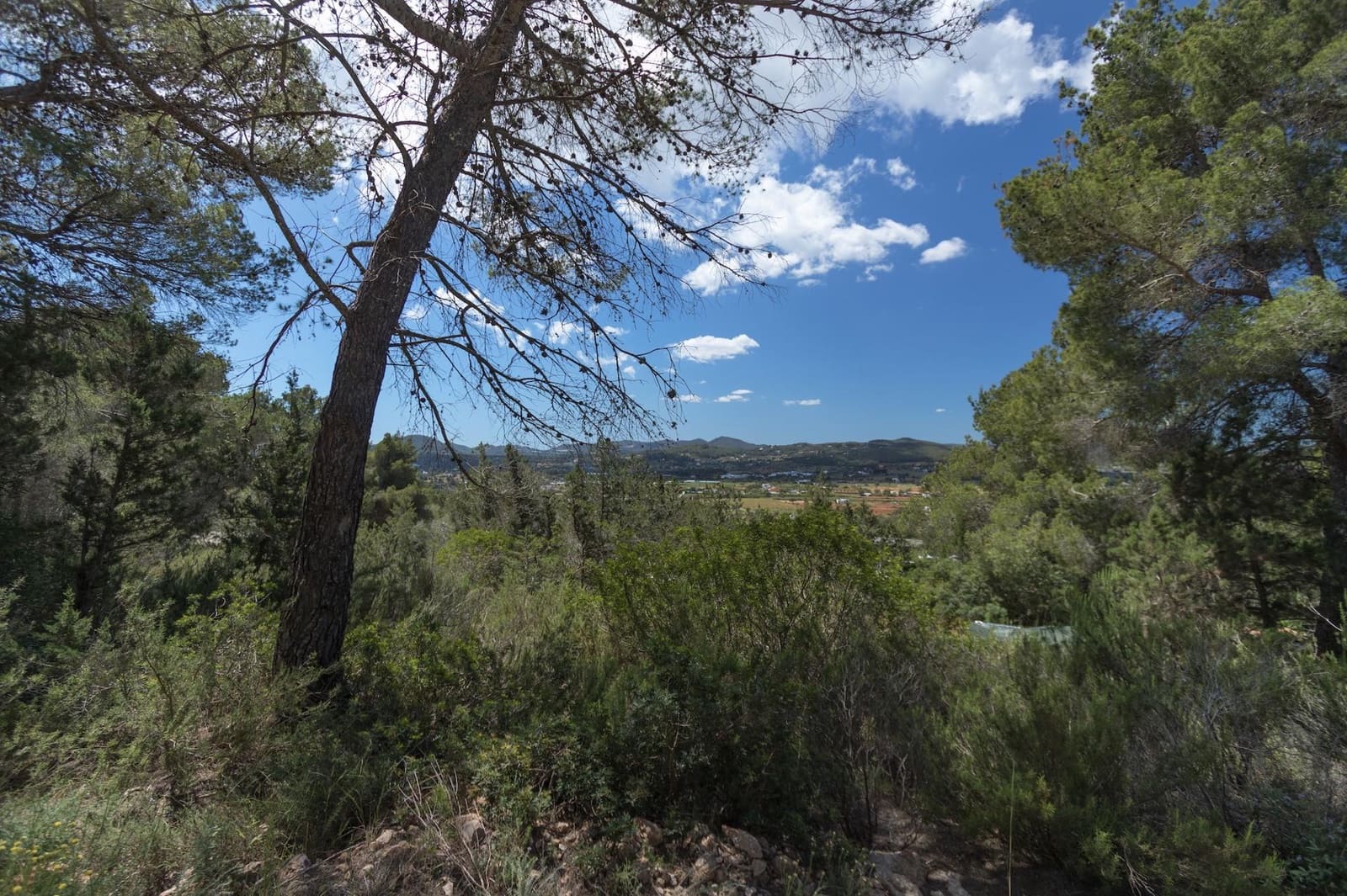 2 quarto Quinta/Casa Rural para venda em Santa Eulalia / Santa Eularia - 1 295 000 € (Ref: 8785846)