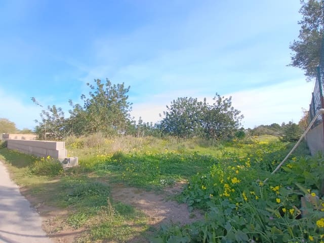 Undeveloped Land for sale in Sant Agusti des Vedra, San Jose / Sant Josep de Sa Talaia - € 2,300,000 (Ref: 8838109)