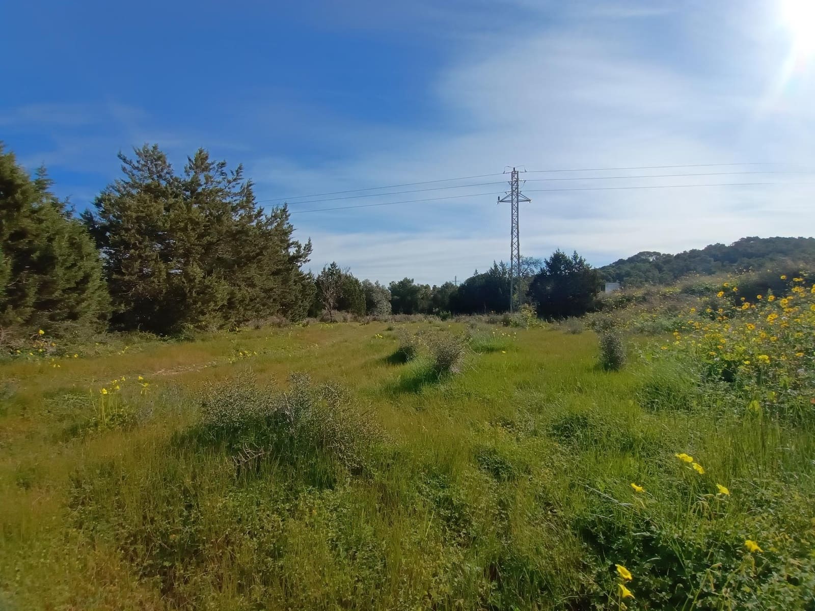 Teren niezagospodarowany na sprzedaż w Sant Agusti des Vedra - 2 300 000 € (Ref: 8838109)