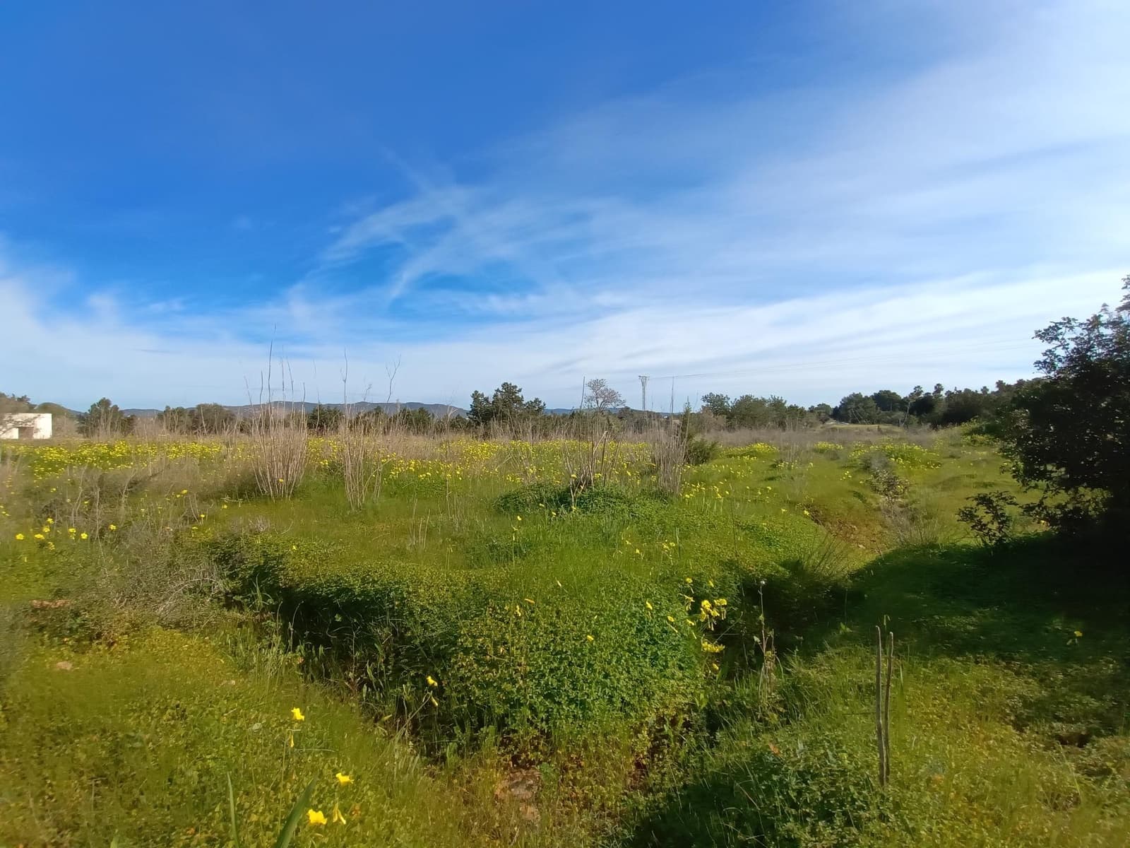 Teren niezagospodarowany na sprzedaż w Sant Agusti des Vedra - 2 300 000 € (Ref: 8838109)