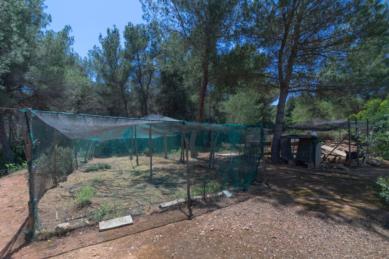 4 sypialnia Finka/Dom wiejski na sprzedaż w Nuestra Senora de Jesus z basenem garażem - 9 900 000 € (Ref: 9000940)