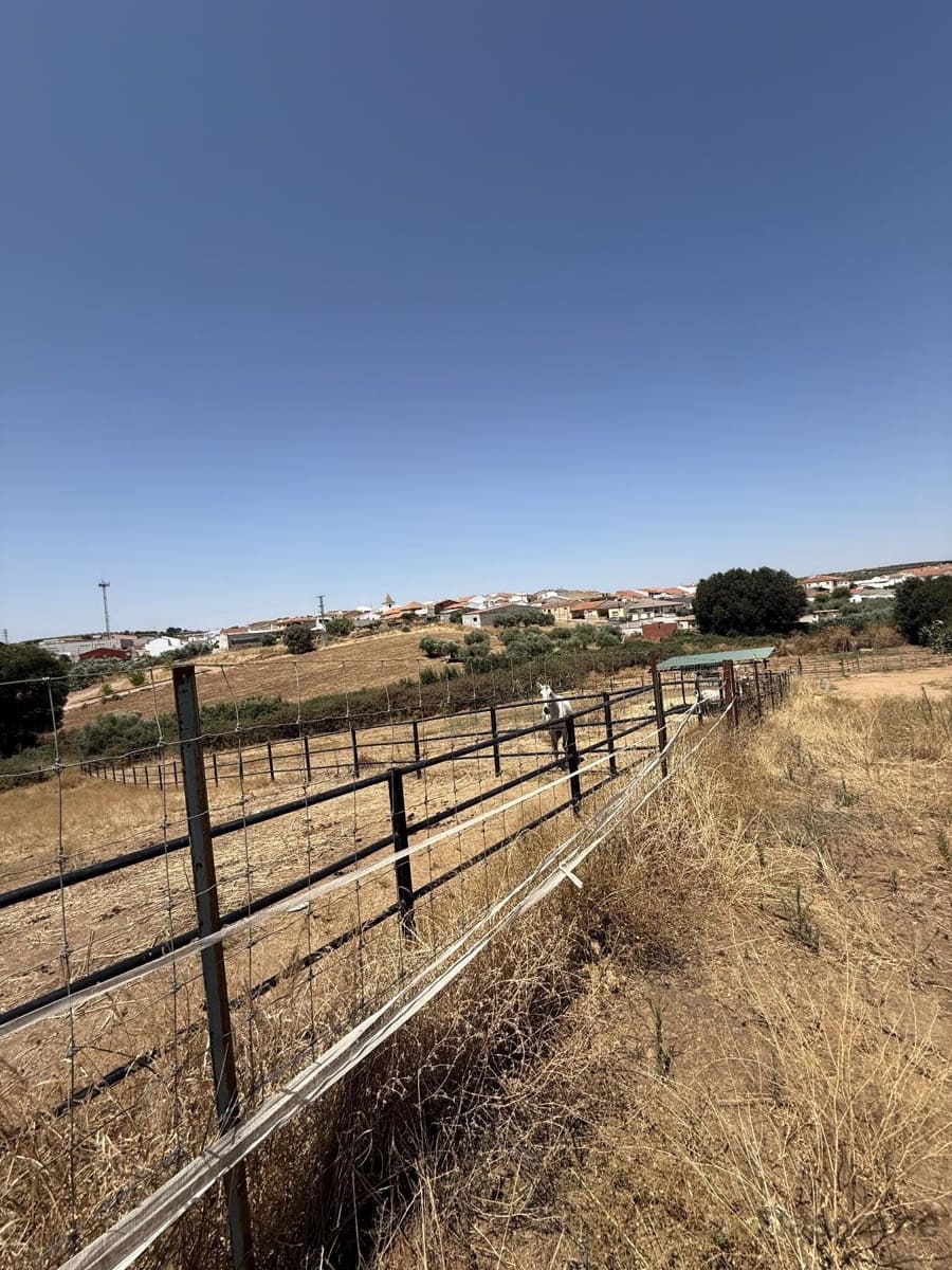 3 bedroom Finca/Country House for sale in San Pedro de Merida with garage - € 477,000 (Ref: 9848310)