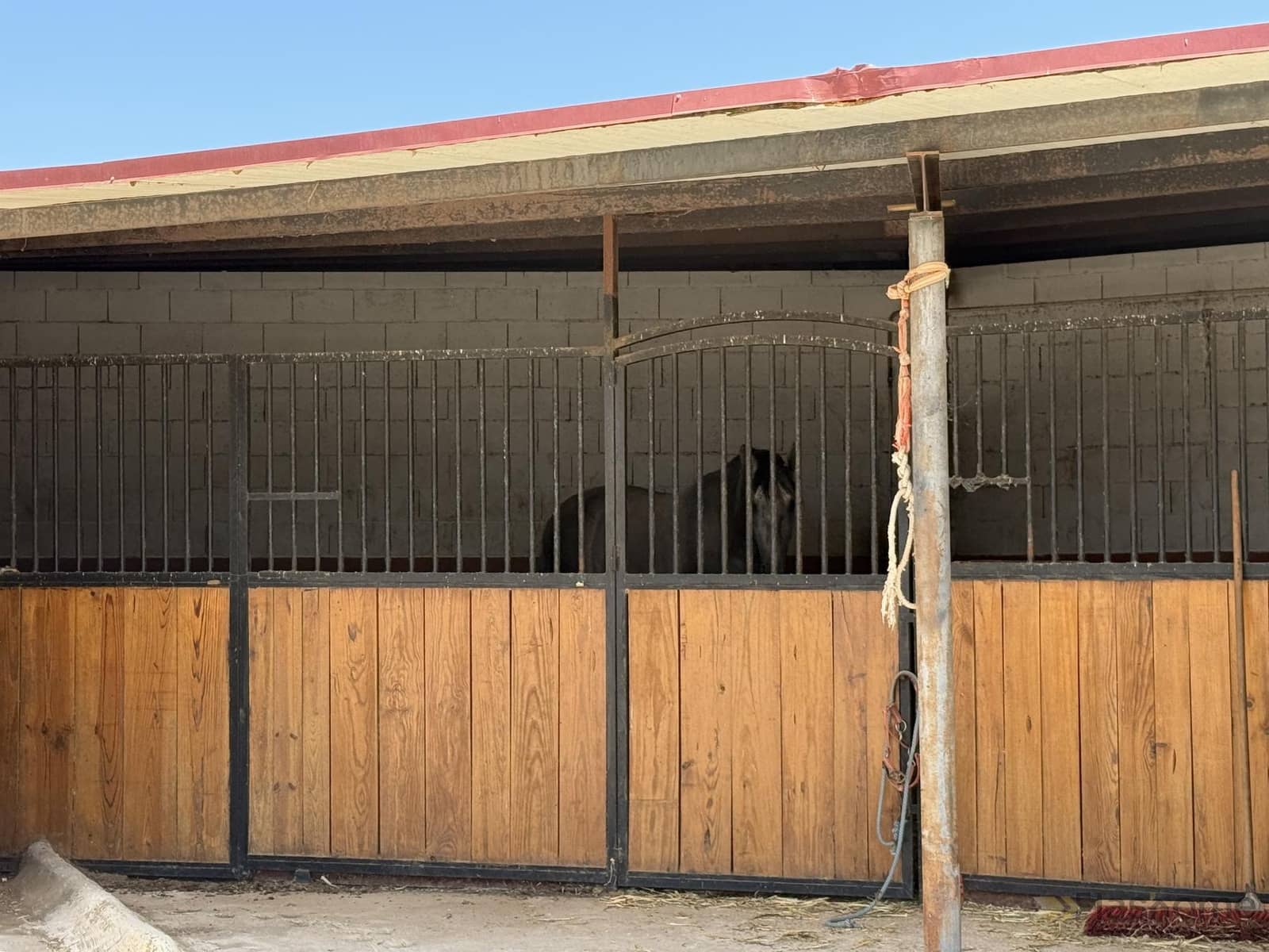 3 bedroom Finca/Country House for sale in San Pedro de Merida with garage - € 477,000 (Ref: 9848310)