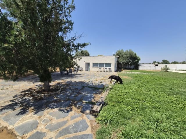 7 bedroom Villa for sale in Las Vaguadas, Badajoz city - € 550,000 (Ref: 9986129)
