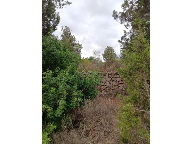 Terre non Aménagée à vendre à Sant Agusti des Vedra - 1 950 000 € (Ref: 10033670)