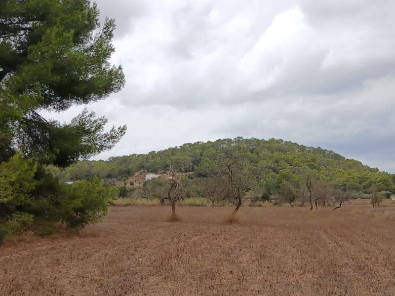 Terre non Aménagée à vendre à Sant Agusti des Vedra - 1 950 000 € (Ref: 10033670)