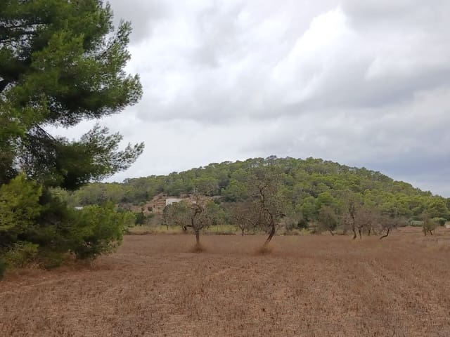 Terre non Aménagée à vendre à Sant Agusti des Vedra, San Jose / Sant Josep de Sa Talaia - 1 950 000 € (Ref: 10033670)