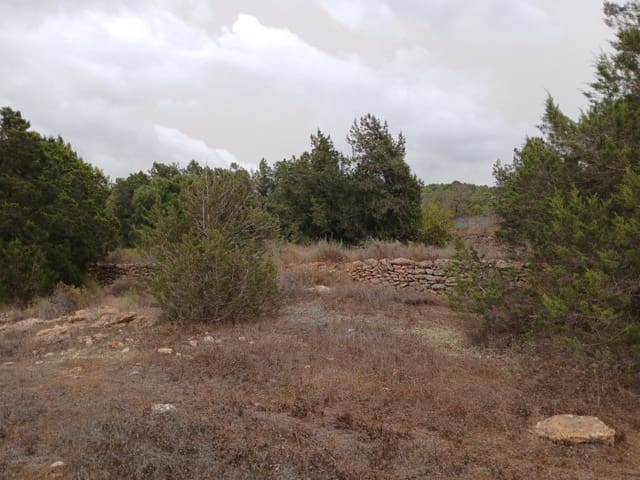 Terre non Aménagée à vendre à Sant Agusti des Vedra, San Jose / Sant Josep de Sa Talaia - 1 950 000 € (Ref: 10033670)
