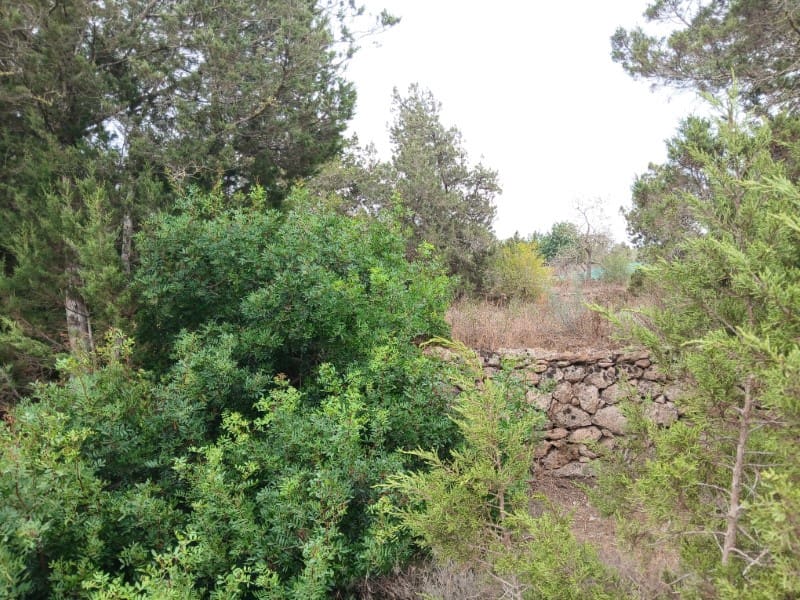 Terre non Aménagée à vendre à Sant Agusti des Vedra - 1 950 000 € (Ref: 10033670)