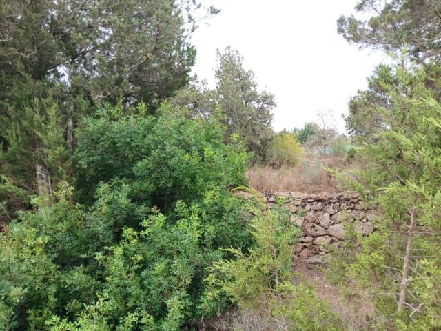 Terre non Aménagée à vendre à Sant Agusti des Vedra, San Jose / Sant Josep de Sa Talaia - 1 950 000 € (Ref: 10033670)