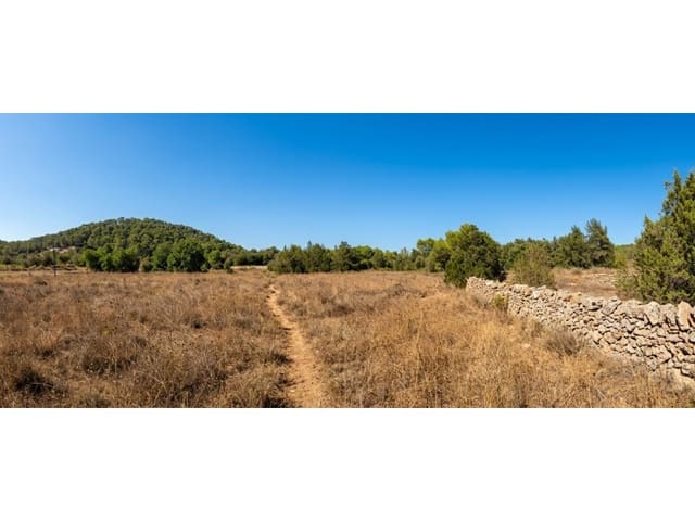 Teren niezagospodarowany na sprzedaż w Sant Agusti des Vedra, San Jose / Sant Josep de Sa Talaia - 1 950 000 € (Ref: 10033670)