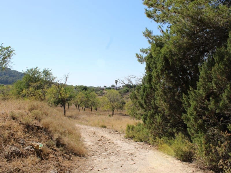 4 soverom Villa til salgs i Sant Rafael de Sa Creu - € 3 200 000 (Ref: 5413525)