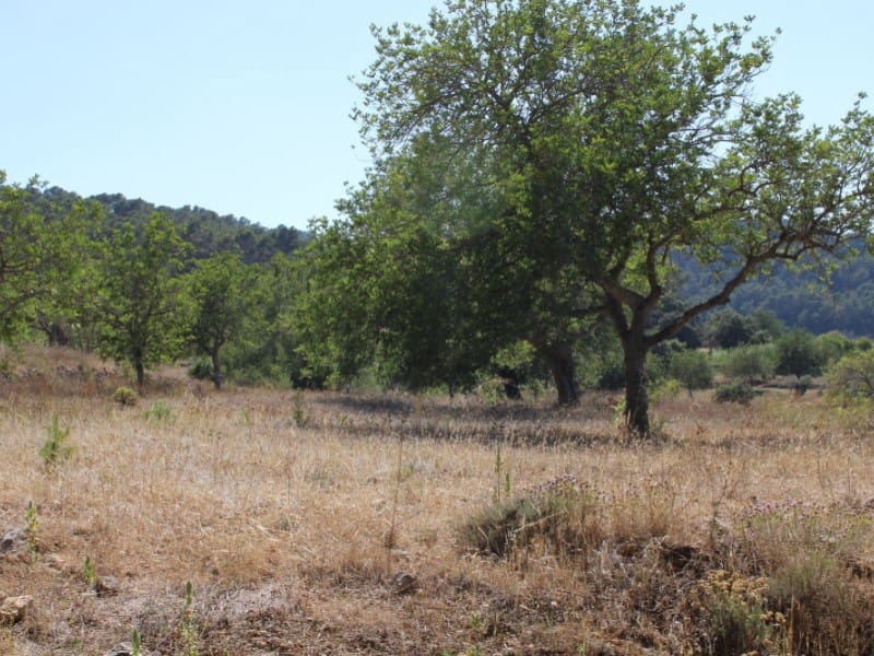 4 soverom Villa til salgs i Sant Rafael de Sa Creu - € 3 200 000 (Ref: 5413525)