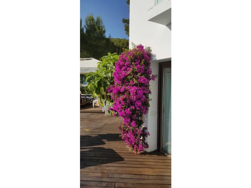 6 soveværelse Villa til salg i Cala Salada - € 3.400.000 (Ref: 5596323)