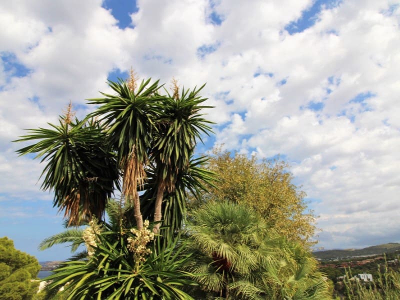 4 soveværelse Villa til salg i Cala Moli - € 3.720.000 (Ref: 7148182)