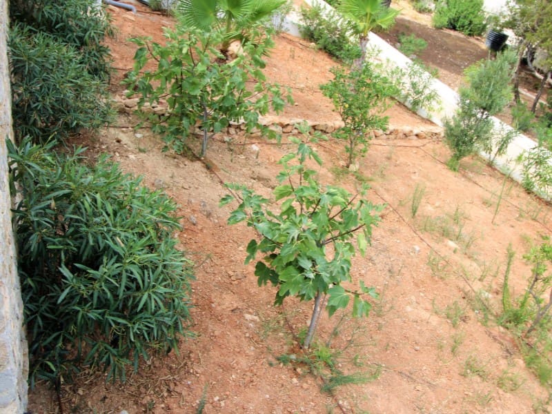 4 soveværelse Villa til salg i Cala Moli - € 3.720.000 (Ref: 7148182)