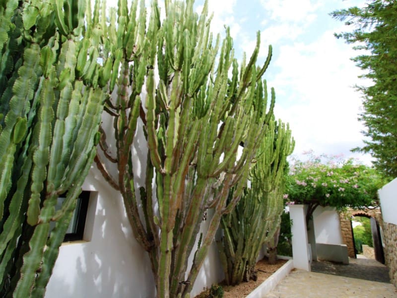 4 soveværelse Villa til salg i Cala Moli - € 3.720.000 (Ref: 7148182)