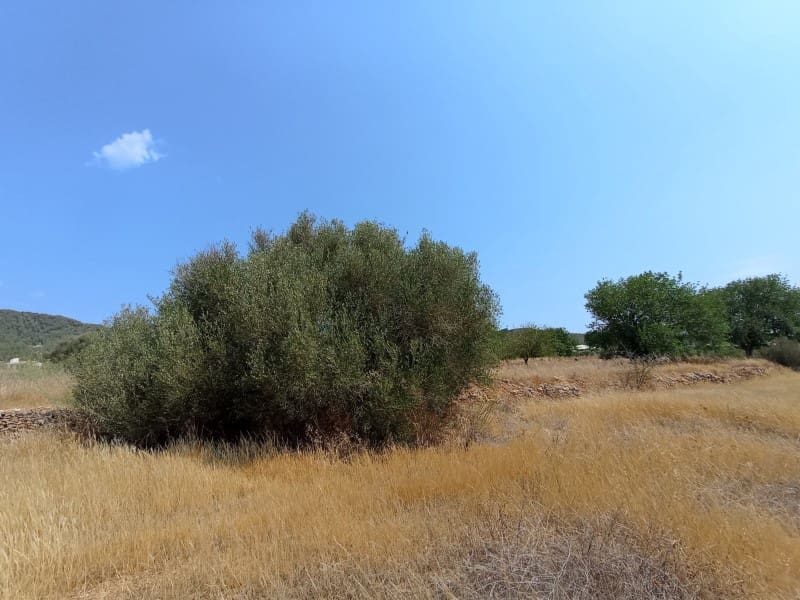 Grunde uden byggetilladelser til salg i Sant Antoni de Portmany - € 750.000 (Ref: 9003297)