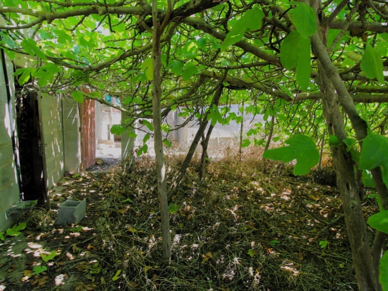 3 soveværelse Villa til salg i Sant Antoni de Portmany - € 950.000 (Ref: 9105055)