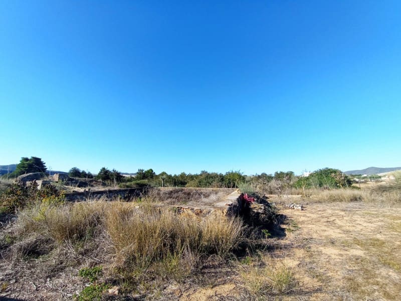 Undeveloped Land for sale in Sant Jordi de Ses Salines - € 1,575,000 (Ref: 9406608)
