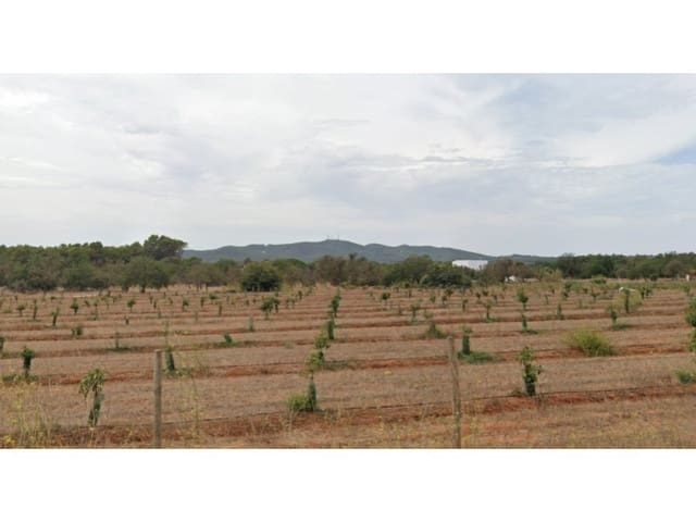 Undeveloped Land for sale in Santa Gertrudis de Fruitera, Santa Eulalia / Santa Eularia - € 990,000 (Ref: 9452285)