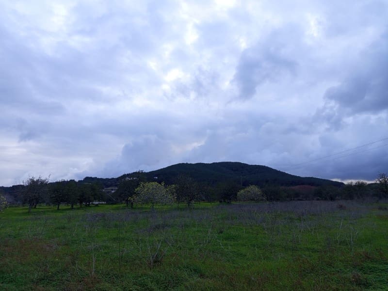 Undeveloped Land for sale in Santa Gertrudis de Fruitera - € 880,000 (Ref: 9452285)