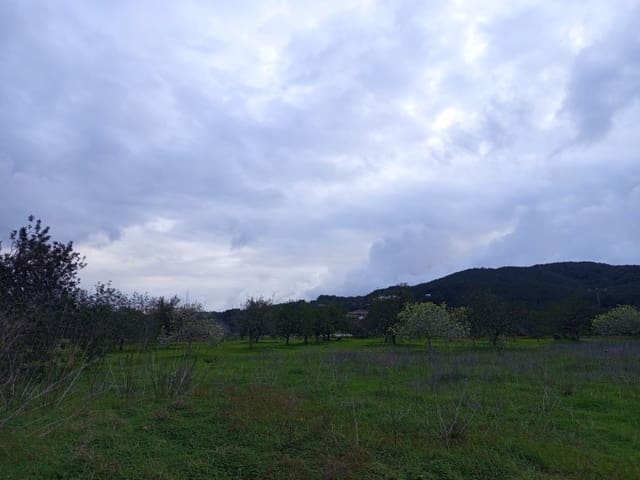 Landgrundstück zu verkaufen in Santa Gertrudis de Fruitera, Santa Eulalia / Santa Eularia - 880.000 € (Ref: 9452285)