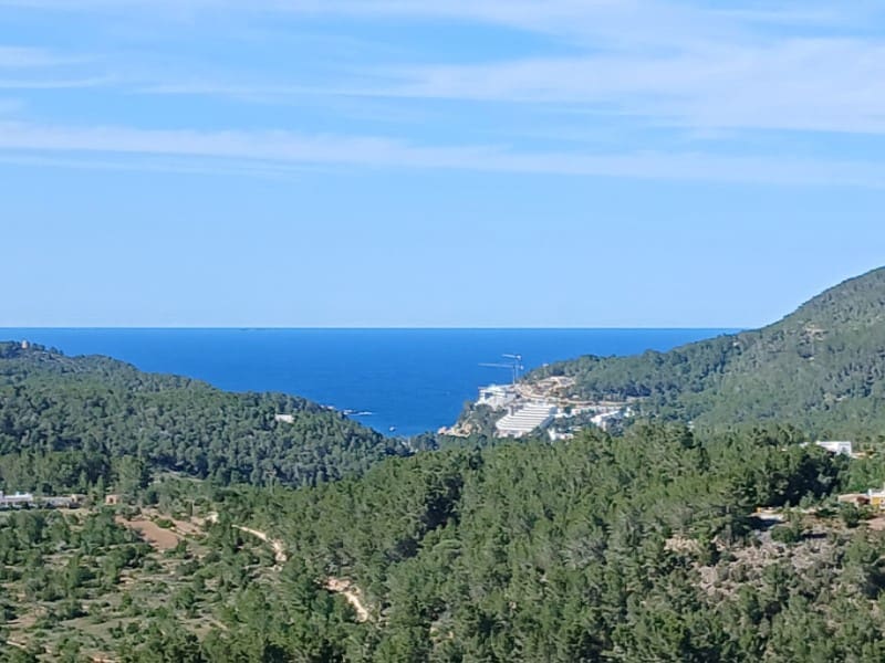 Undeveloped Land for sale in Sant Joan de Labritja - € 4,500,000 (Ref: 9833848)