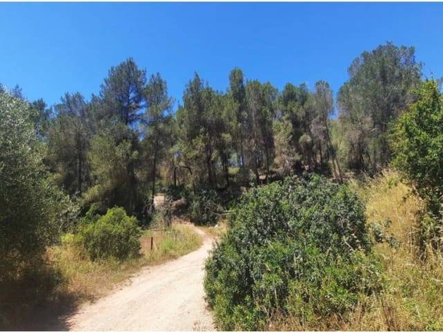 Terreno Non Edificato in vendita in Sant Jordi de Ses Salines, San Jose / Sant Josep de Sa Talaia - 1.400.000 € (Rif: 9866911)