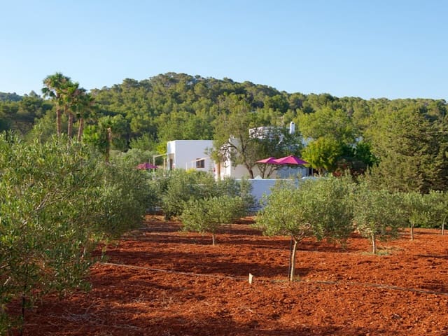 7 soveværelse Villa til salg i Santa Eulalia / Santa Eularia - € 3.750.000 (Ref: 9936127)