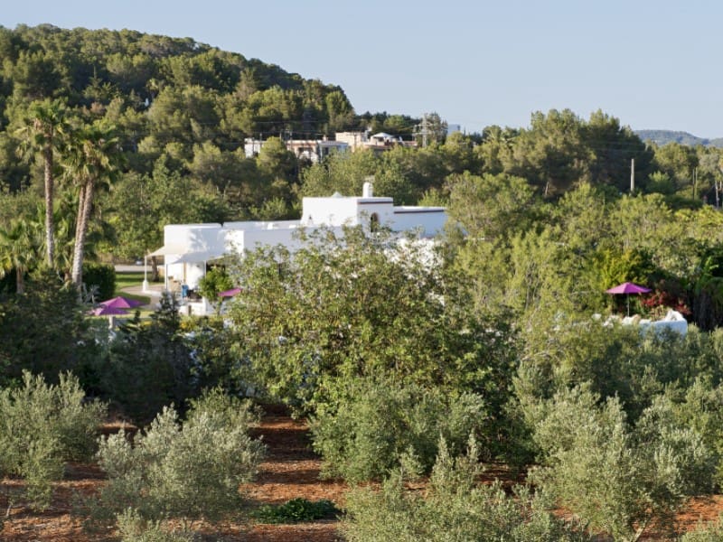 7 bedroom Villa for sale in Santa Eulalia / Santa Eularia - € 3,750,000 (Ref: 9936127)