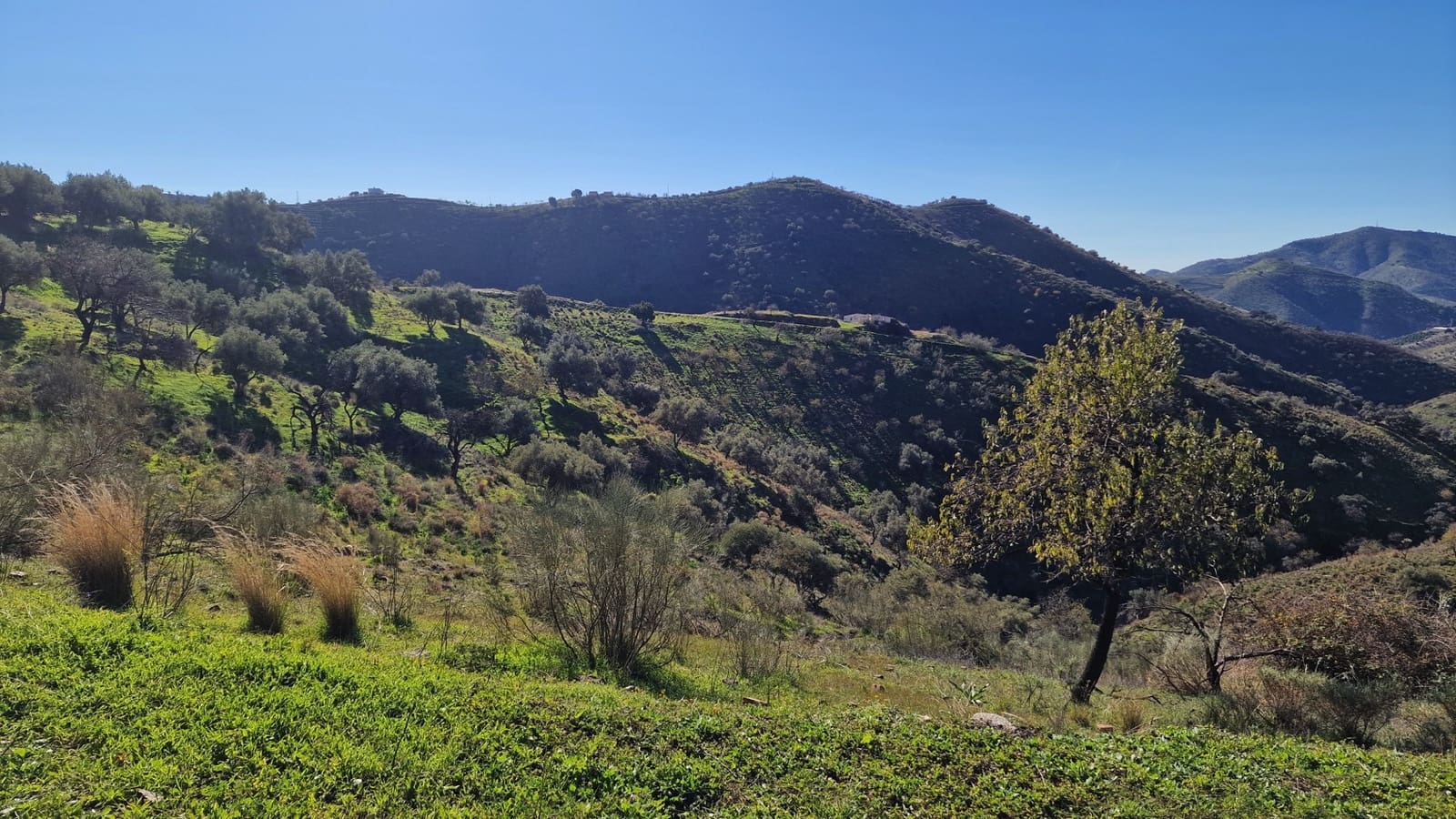 8 slaapkamer Commercieel te koop in Sedella met zwembad garage - € 695.000 (Ref: 8902833)