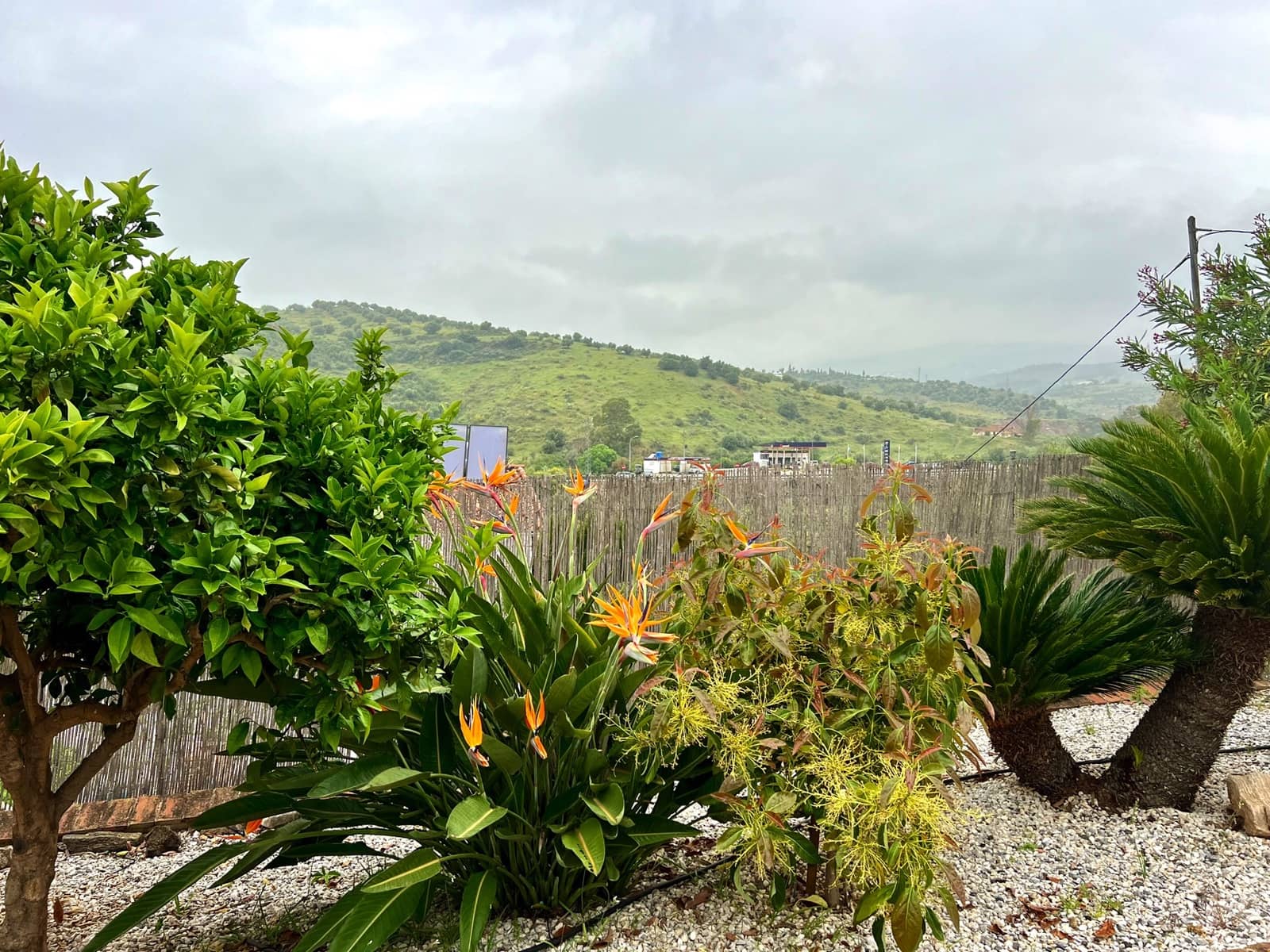 4 soveværelse Villa til salg i Alcaucin med swimmingpool - € 335.000 (Ref: 8962145)