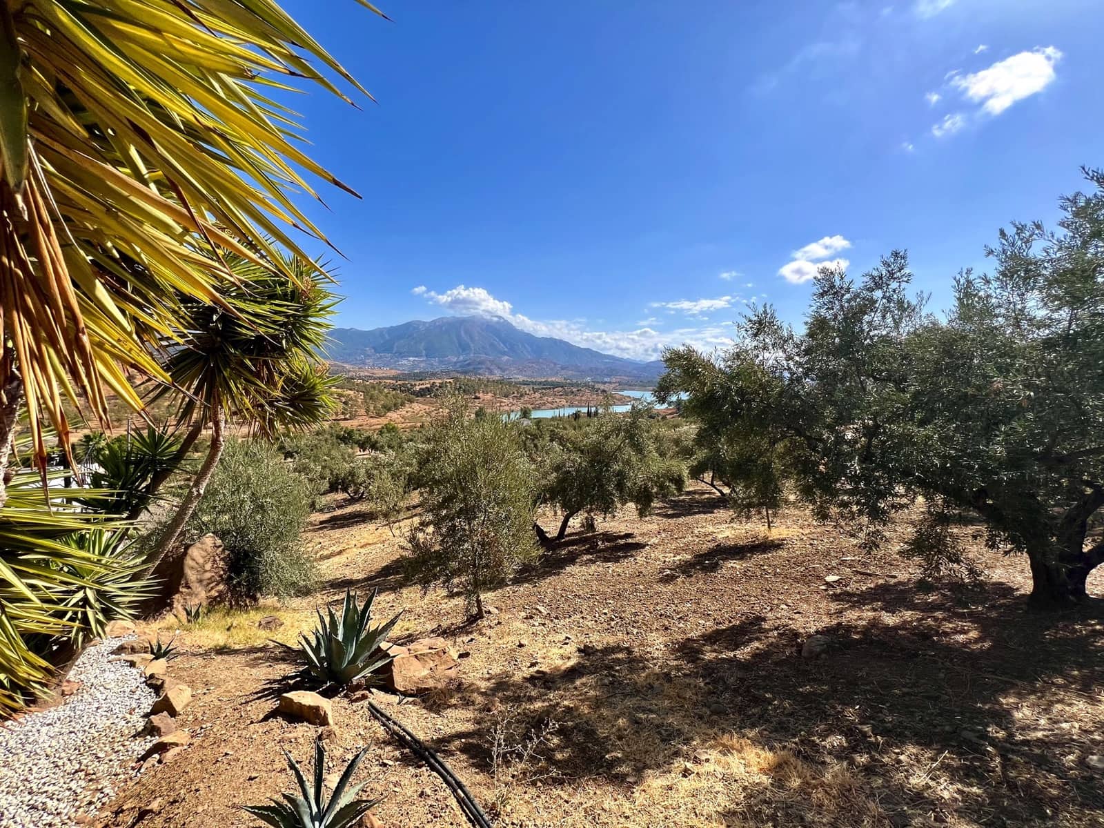 4 soveværelse Villa til salg i Vinuela med swimmingpool garage - € 795.000 (Ref: 9265582)