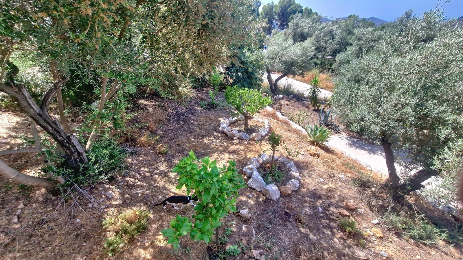 2 sovrum Villa till salu i Competa med pool garage - 295 000 € (Ref: 9382039)