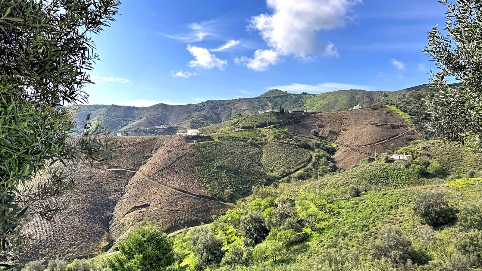 3 soverom Villa til salgs i Almachar med svømmebasseng garasje - € 349 000 (Ref: 9757804)