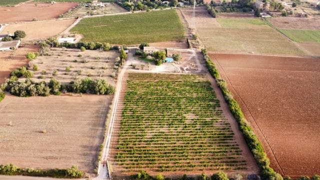 4 soverom Finca/Herregård til salgs i Sencelles med svømmebasseng - € 1 800 000 (Ref: 7275377)