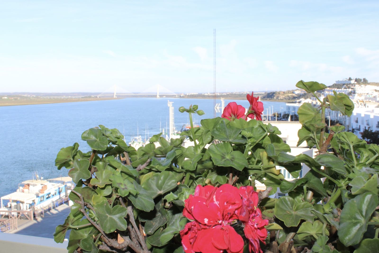 3 Zimmer Apartment zu vermieten in Ayamonte - 500 € (Ref: 7448126)