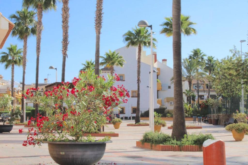 Apartamento de 3 habitaciones en Ayamonte en alquiler con piscina garaje - 700 € (Ref: 9438213)
