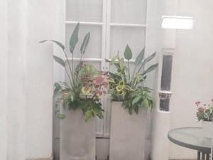 1 bedroom Apartment for rent in Ayamonte - € 650 (Ref: 9438235)