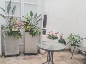 1 bedroom Apartment for rent in Ayamonte - € 650 (Ref: 9438235)