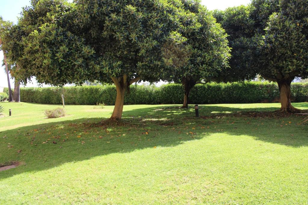 1 camera da letto Appartamento da affitare come casa vacanza in Ayamonte - 1.200 € (Rif: 9438250)