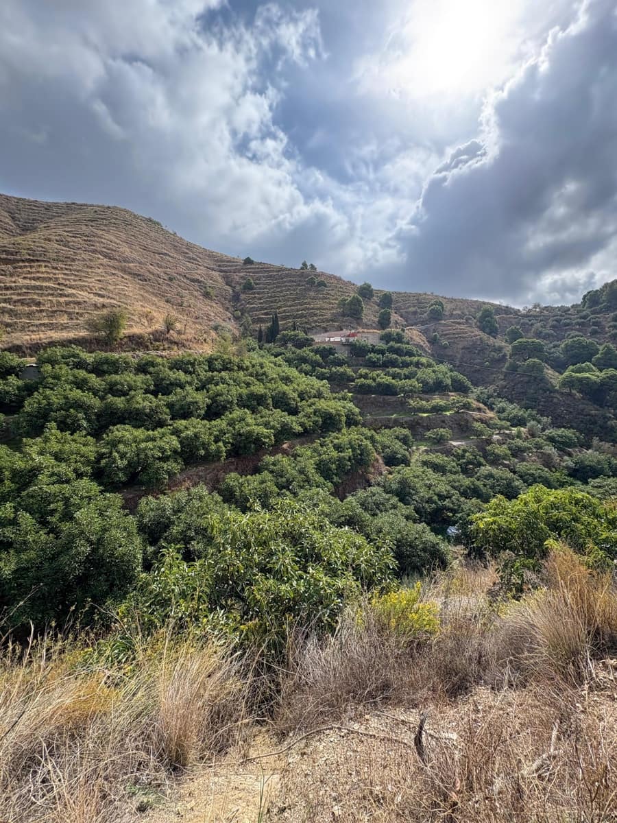 2 soverom Finca/Herregård til salgs i Almunecar med svømmebasseng garasje - € 299 900 (Ref: 9449865)